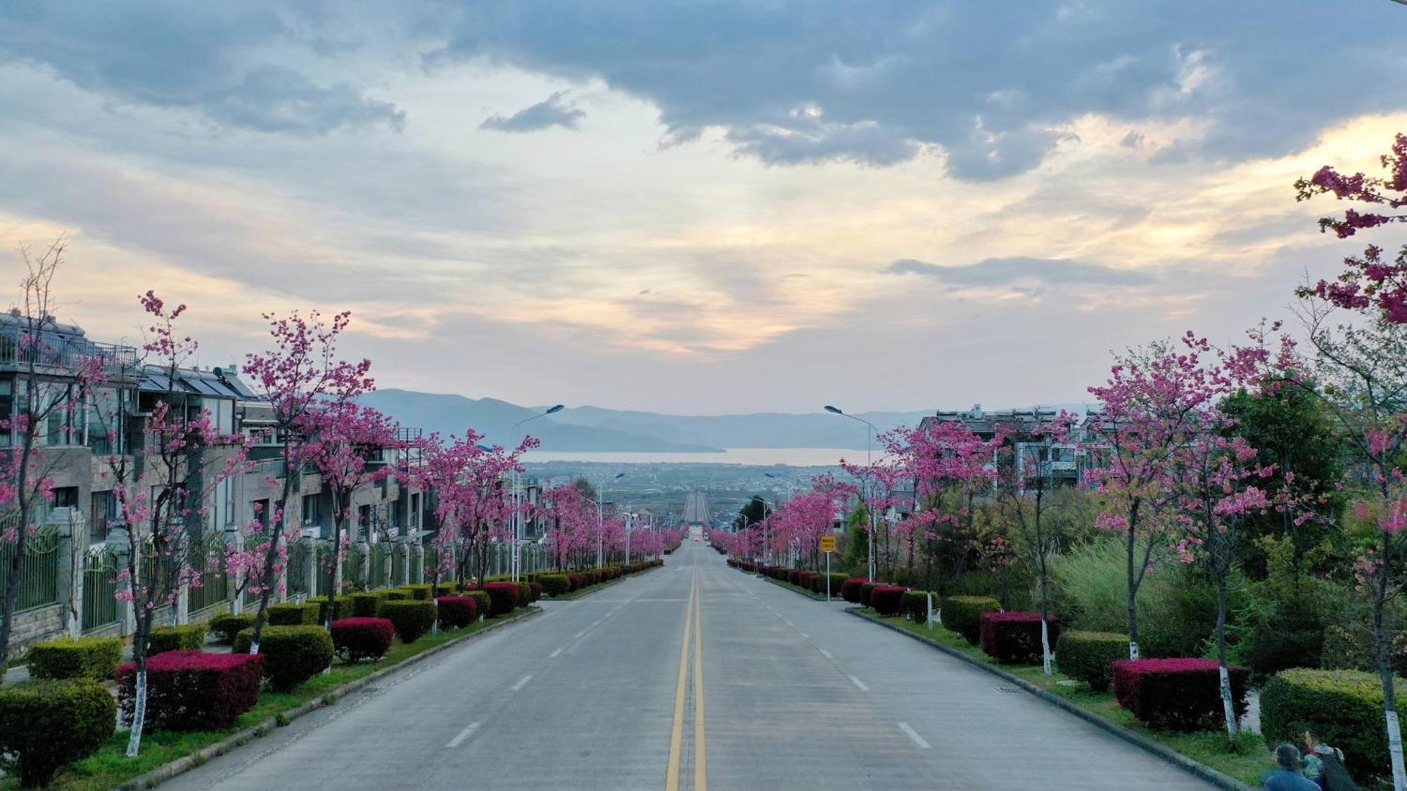 Hotel Indigo Dali Erhai, an IHG Hotel Bagian luar foto
